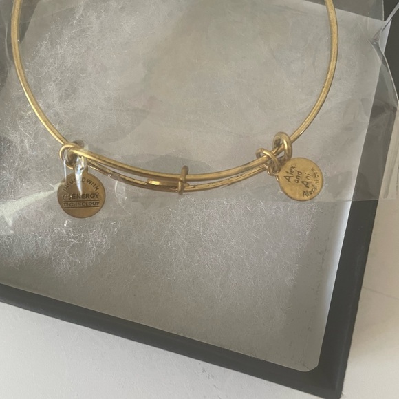 Alex and Ani Gold Tone Infused Energy Bracelet  NEW IN BOX - Picture 4 of 8